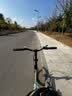 大行（DAHON）D6折叠自行车20英寸6速成人休闲单车 KBC061 青草绿 20英寸 实拍图