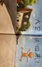 大卫，不可以！  爱才是真理 绘本大师大卫·香农 凯迪克大奖作品 0-3岁早教绘本书单（启发出品六一儿童节礼物女孩男孩  实拍图