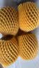 佳沛（zespri）新西兰金奇异果12粒特大果124-146g猕猴桃水果礼盒 实拍图