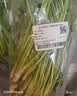 【火锅季】带根香菜100g 实拍图