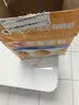 泓一椰蓉面包 营养早餐面包手撕代餐零食饱腹糕点心下午茶600g 实拍图