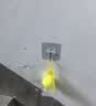漫生活园林驱蛇丸户外驱蛇粉家用驱蛇神器驱虫防蛇神器草坪庭院防蛇咬 实拍图