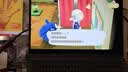 绿联HDMI视频采集卡4K高清输入适用Switch/NS/PS5笔记本电脑手机平板相机游戏直播录制器/转USB/Type-C 实拍图