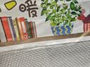 初诚3D立体墙贴春天墙面装饰墙上贴画自粘遮丑补洞贴纸墙纸小图案 阳光小盆栽（新拼版） 大(非整张贴、组合贴) 实拍图