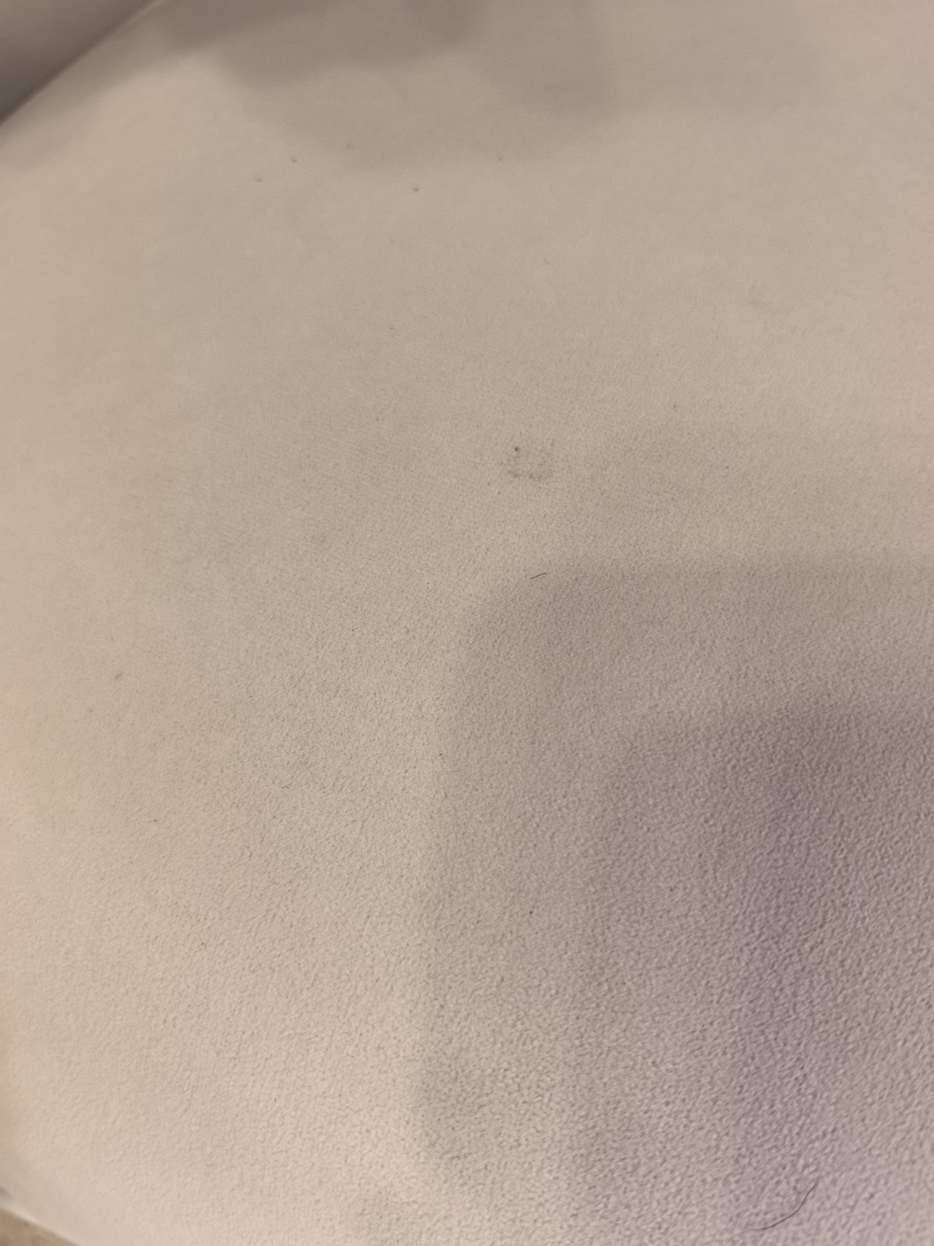 必胜（BISSELL）【新品】高温蒸汽清洁机家用多功能布艺清洗机 地毯床垫清洗沙发除螨洗吸一体机 小蒸龙PRO-3700P 实拍图