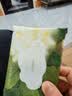 babycare山茶新生柔湿巾新生儿湿纸巾加大加厚擦脸 10抽*1包 实拍图