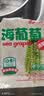 云山半盐渍海葡萄100g*3即食儿童凉拌菜鱼子酱火锅商家用赠6种蘸料海藻 实拍图