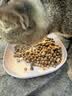 网易严选全价冻干双拼猫粮3.0 猫干粮成猫幼猫通用高鲜肉粮 自营金选1.8kg 实拍图
