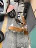 伟嘉成猫猫粮3.6kg海洋鱼味布偶夹心粮【原料透明】 实拍图