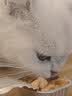 领先成猫尝鲜礼包主食级烘焙猫粮猫条餐盒汤包（新老款随机发货） 实拍图