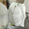 babycare金山茶花婴儿拉拉裤试用装L码3片(9-14kg)尿不湿超薄透气 实拍图