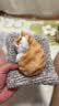亦趣仿真猫玩偶会叫小猫咪毛绒玩具摆件可爱猫咪公仔女孩儿童生日礼物 会叫橘花猫咪+毛绒垫子 实拍图