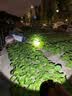 迈思路（MAX LOAD） 强光手电筒远射超亮充电式大功率户外超长续航led巡逻手提探照灯 顶配22000w续航150h 动力九锂电 实拍图