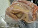 林岚（LINLAN） 5年老鸽子【3只装 】杀前约1800g 新鲜鸽子肉农家鸽子新鲜宰杀 5年老鸽2只单只净重8两 实拍图