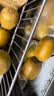 佳沛（zespri）新西兰金奇异果30-33粒原箱103-124g猕猴桃水果礼盒 实拍图