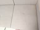 亿力【重磅】布艺床垫沙发清洗机地毯窗帘喷抽洗吸一体清洁机神器全屋家政家庭清洁多功能品牌家电6336 实拍图
