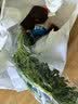 传统发酵馒头100g*4 实拍图