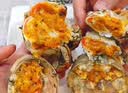 【活蟹】蟹宗现货鲜活大闸蟹全母3.5-3.8两8只生鲜螃蟹海鲜水产节日礼品礼盒源头直发 实拍图