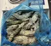鲜京采 鲜冻大号黑虎虾 去冰净重2斤 31-40只/盒 美食大赛同款 国庆 实拍图