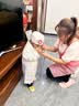 小顽豆儿童过家家小医生扮演玩具套装女孩子男孩女童生日礼物医疗工具箱 实拍图