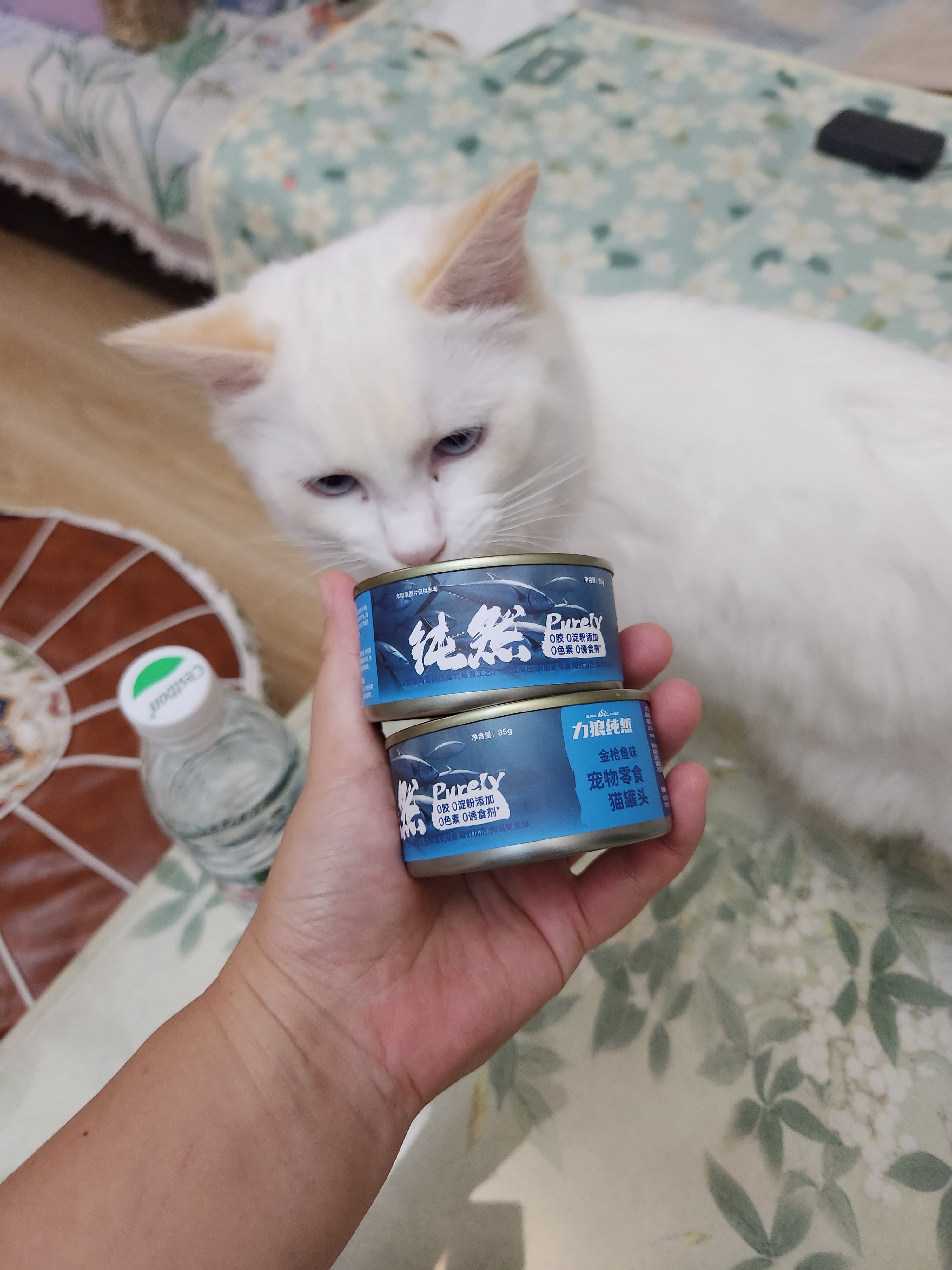 力狼猫罐头补水汤罐猫咪汤包幼猫成猫零食宠物食品猫湿粮 【7罐】金枪鱼味补水罐85g 实拍图