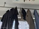 京东京造 无痕衣架实心不锈钢晾衣架无痕衣服挂衣撑子加粗成人款20个 实拍图