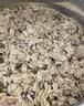 西麦奇亚籽混合谷物燕麦片880g桶即食代餐营养早餐牛奶好搭档膳食纤维 实拍图