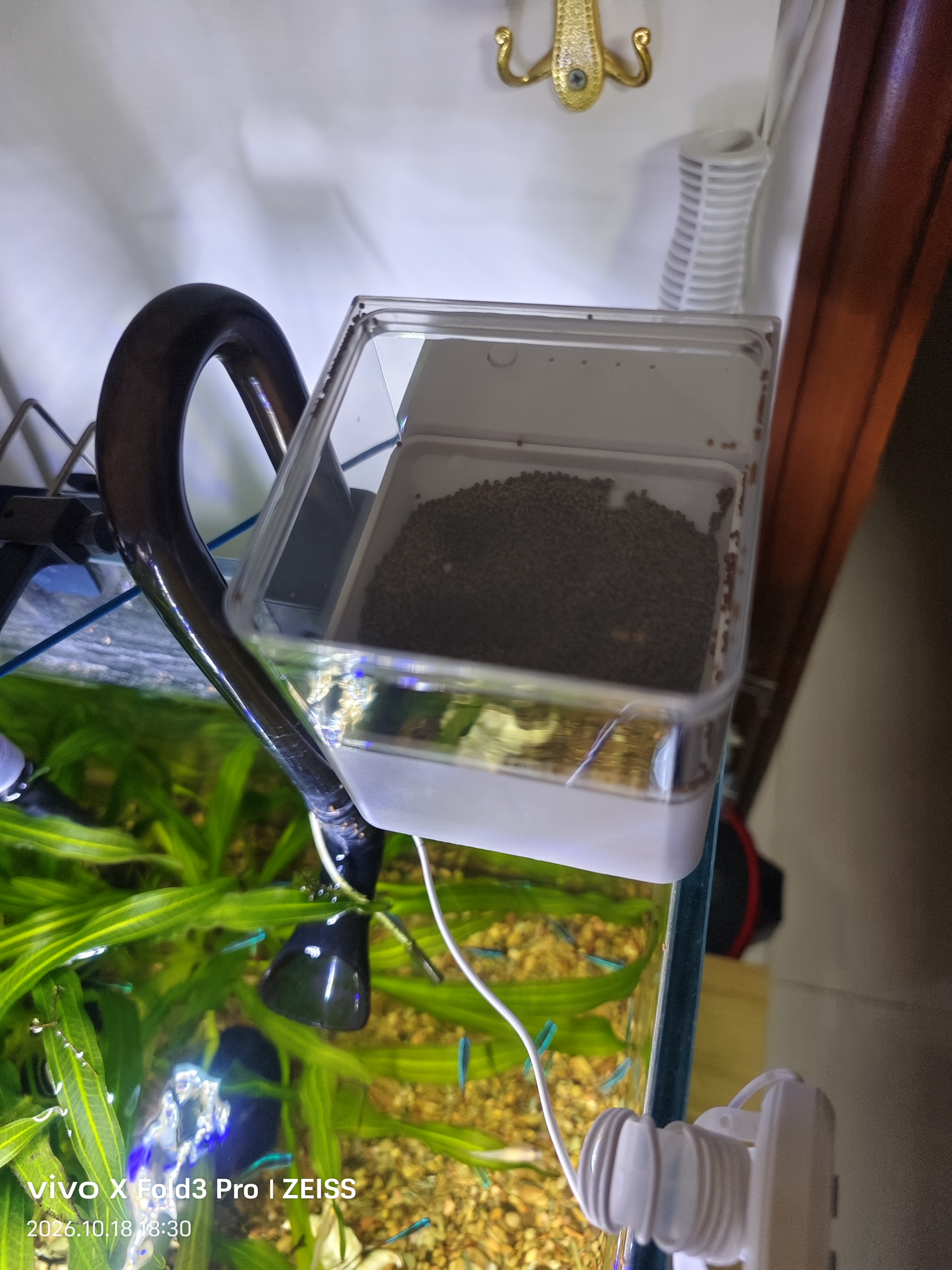 TMJD MISS鱼缸自动喂食器小型鱼缸自动喂鱼器智能定时鱼食投喂器鱼缸投料机 智能喂食器【容量约150克】 四档智能定时/可调节投放量 实拍图