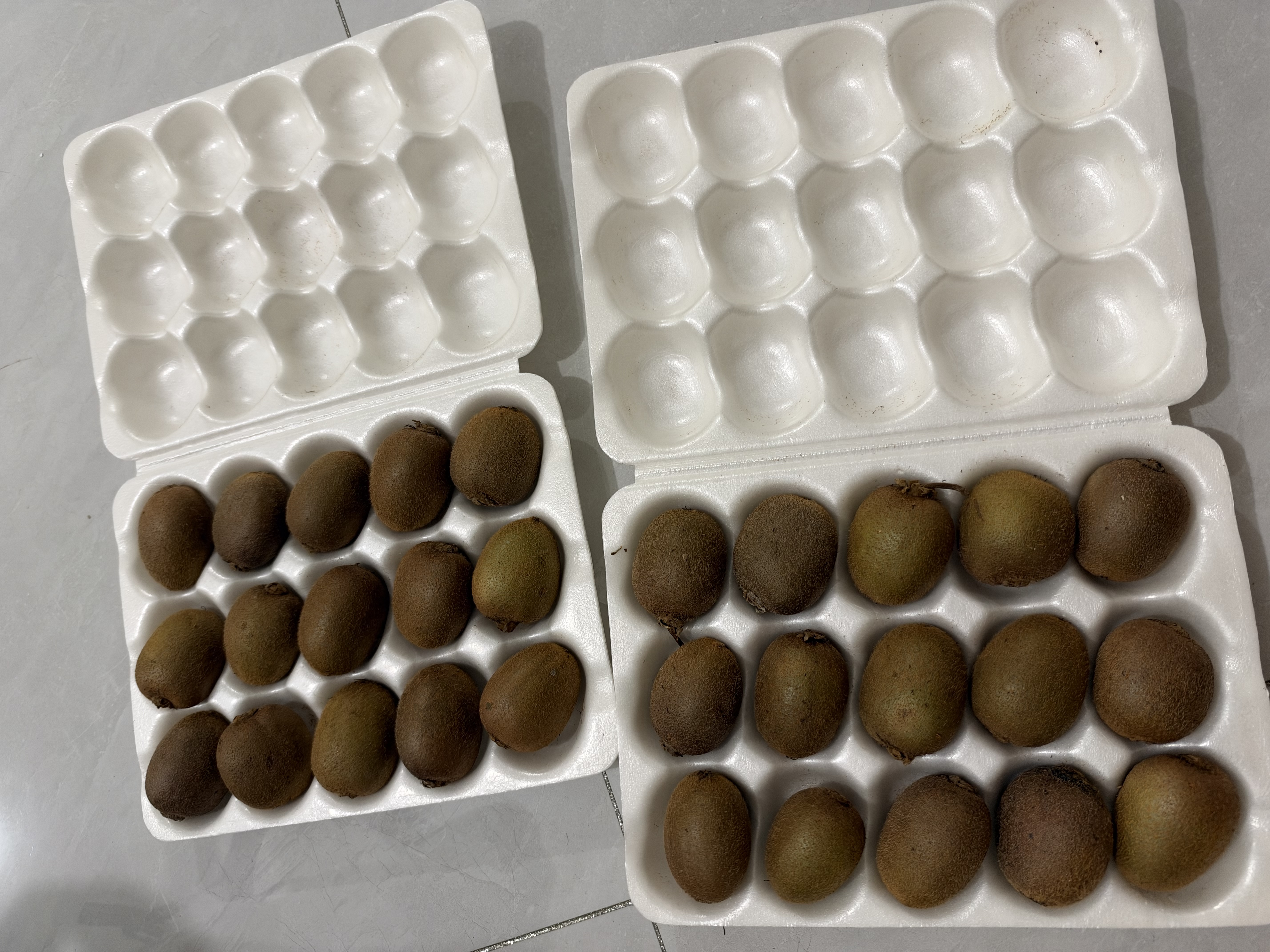 京觅&孙悟空陕西翠香绿心猕猴桃30粒单果60g+ 新鲜水果 源头直发 包邮 实拍图