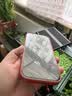 闪魔适用苹果16/16pro钢化膜iphone16promax手机膜非全屏无黑边16plus高清抗指纹防爆防摔15保护贴膜 【T1-Pro】高清防爆-2片装+神器 苹果16/15 实拍图