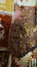 京东超市海外直采 惠选黑椒调味牛排800g(4-5片)  牛肉烧烤儿童早餐胡椒 实拍图