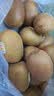 佳沛（zespri）新西兰 金奇异果特大果15粒134-146g猕猴桃水果礼盒 实拍图