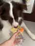 HELLOJOY狗狗外出水杯户外折叠水壶瓶便携式猫宠物随行杯喝饮水器 实拍图
