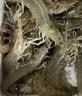 【吃虾季】鲜活基围虾200g（16-24条） 中秋送礼家宴宴请 实拍图