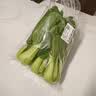上海青约500g(油菜) 实拍图