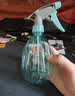 喷壶浇花浇水喷雾器气压式喷水壶家用园艺养花500ml 南瓜喷壶透蓝【1个装】 实拍图