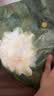 babycare爆款山茶花一次性内裤女士孕产妇XL码30条【安全灭菌】 实拍图