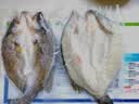 仙泉湖冷冻三去白蕉海鲈鱼700g/袋(2条装)肉厚刺少水产生鲜食材 实拍图
