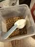 皇家猫粮 成猫猫粮 户外成猫 O30 通用粮 12月以上 4KG 实拍图
