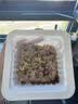 京东京造小粒纳豆芥末风味健康下饭菜 素食零食即食小包装不苦不涩 实拍图