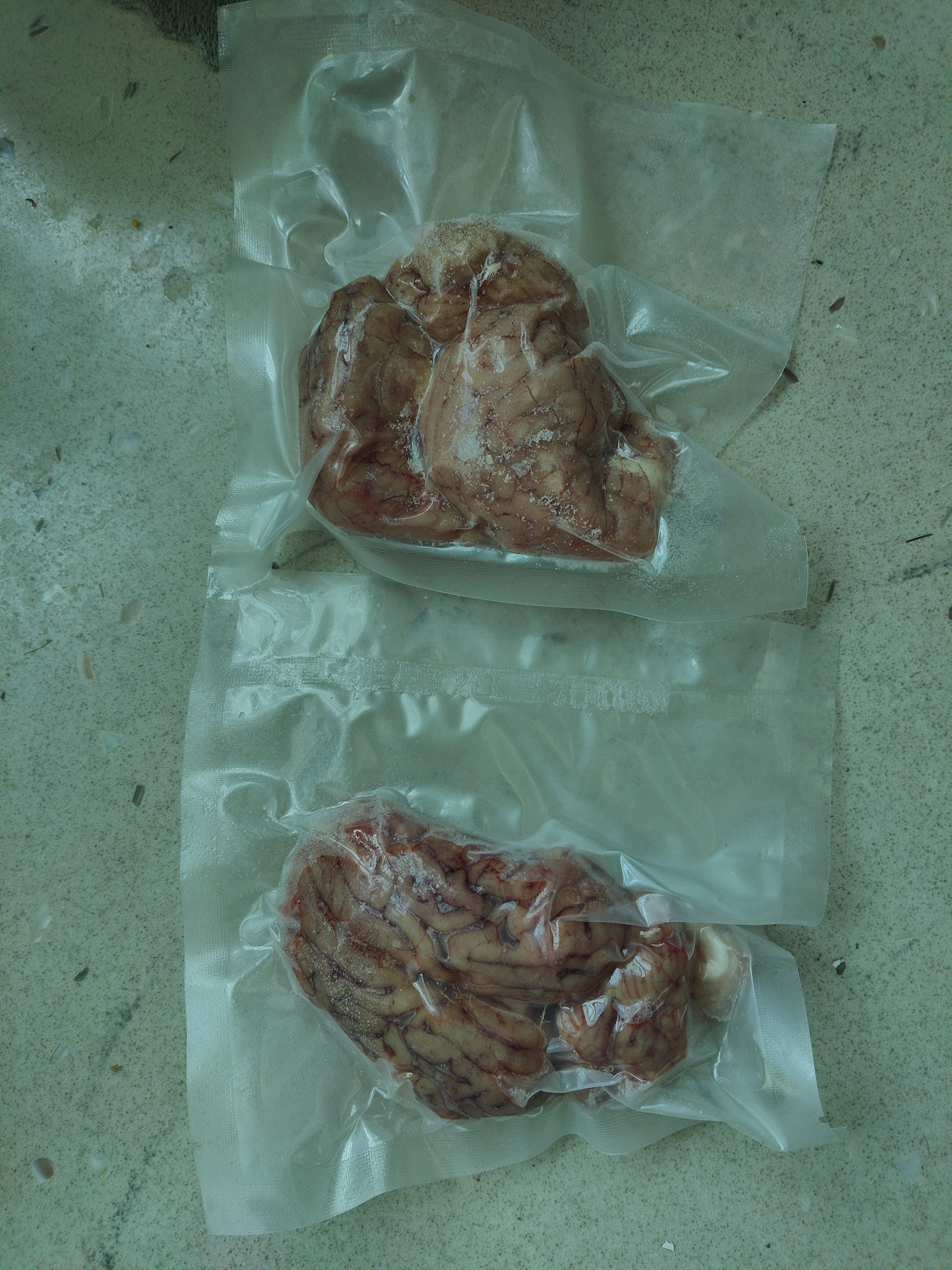 高金食品 单冻猪脑花10副/袋约2斤 独立包装猪脑脑花烧烤食材涮火锅食材 实拍图