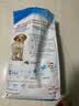 皇家狗粮 成犬狗粮 犬粮 宠物 中型犬 M25 全价犬粮 ≥12月 4KG 实拍图