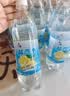 鲜丰春新货上海盐汽水600ml*24瓶柠檬整箱解渴批发运动功能饮料老汽水 实拍图