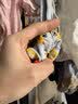 小猪班纳【A类标准】夏季网眼薄款男童袜子新疆长绒棉无骨高弹中大童棉袜 实拍图