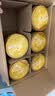 飞鹤星飞帆卓睿3段幼儿配方奶粉1-3岁750g*6乳铁蛋白7种HMO28天新鲜 实拍图