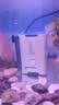 森森（SUNSUN）耀蓝鱼缸水泵小型潜水泵过滤泵抽水泵YQP-1000 15W 实拍图