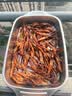 正大鸭舌净重0.4斤（18-20个）鸭肉鸭货鸭子生鲜火锅食材中秋节 实拍图