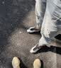 阿迪达斯 YEEZY700MNVN金属椰子男女休闲鞋GW9524UK10码44.5 实拍图