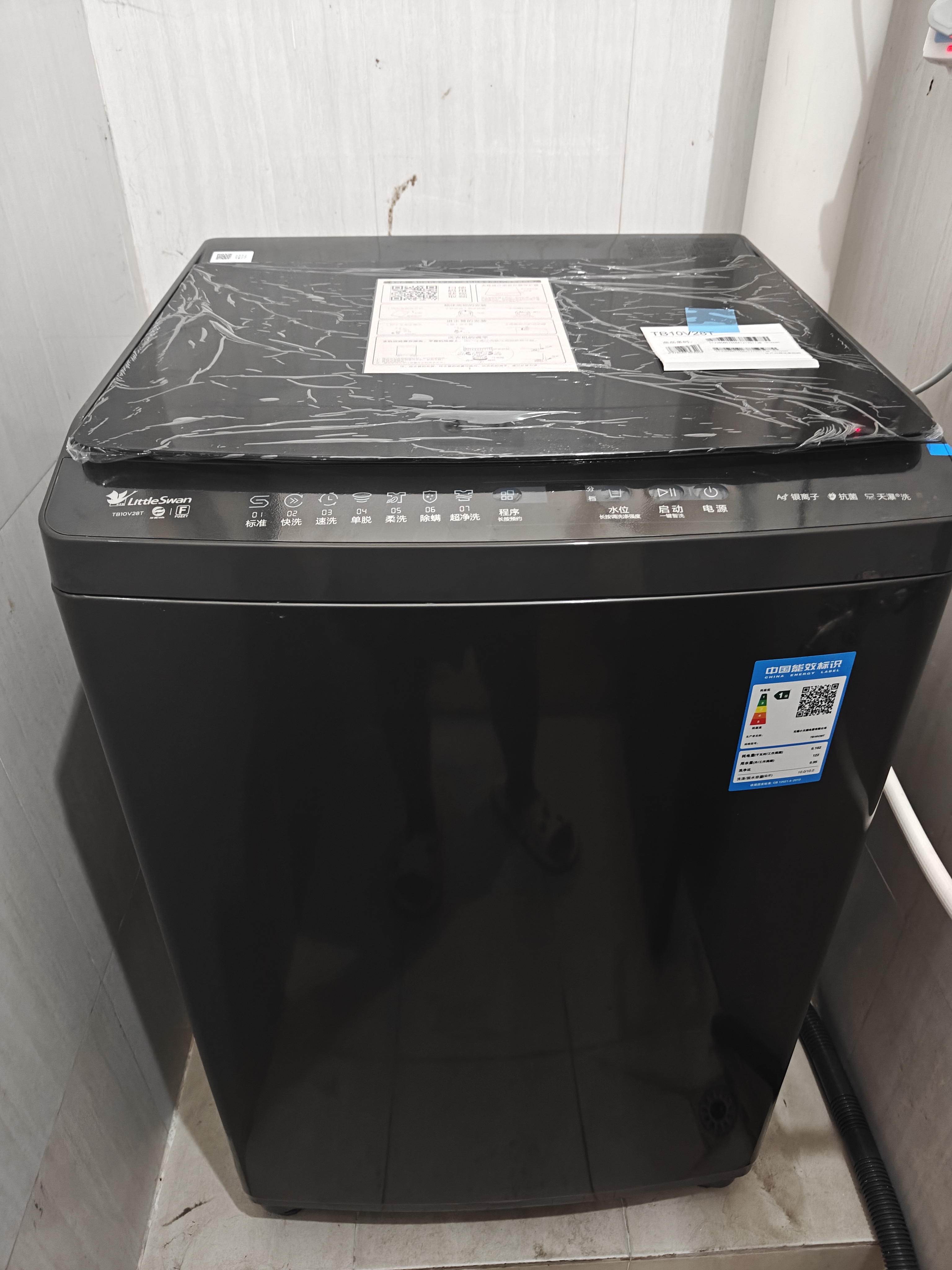 小天鹅（LittleSwan）波轮洗衣机小型全自动家用 10KG TB10V28T 一级能效 除菌螨 国家补贴 京东自营 出租房宿舍 实拍图