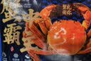 【活蟹】蟹宗鲜活大闸蟹公4.5-4.8两母3.5-3.8两4对8只生鲜螃蟹海鲜节日礼品源头直发 实拍图
